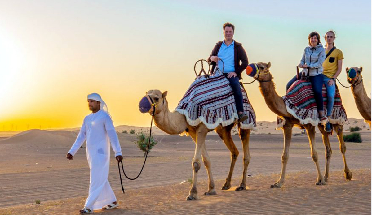 Morning Desert Safari