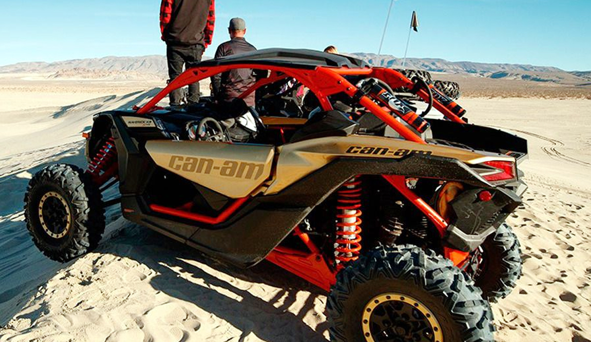 Evening Desert Safari