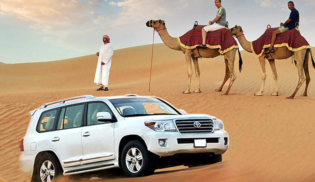 Evening Desert Safari